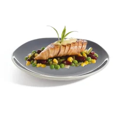 Assiettes Plates>Arcoroc Assiette plate 25,4 cm Rocaleo Gris foncé