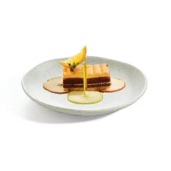 Assiettes Plates>Arcoroc Assiette plate 19,8 cm Rocaleo Nature