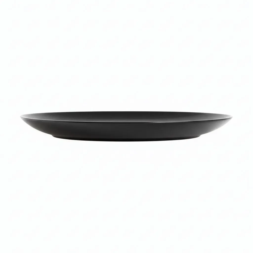 Assiettes Plates>Luminarc Assiette plate noire 25 cm Apy