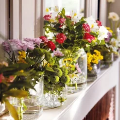 Bocaux & Pots><noscript><img width=